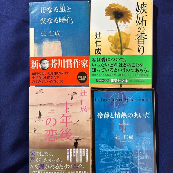 4冊 十年後の恋 嫉妬の香り 母なる凪と父なる時化 冷静と情熱のあいだ 辻仁成 中山美穂