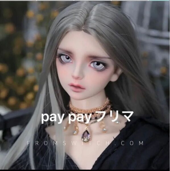 値下げ最終価格 Switch doll switchドール 65boy ボディ SHIHO 限定ヘッド dolk ドール