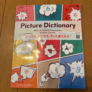 Picture Dictiomary