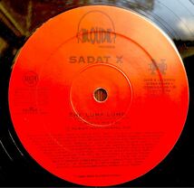 1996 Sadat X / The Lump Lump サダト エックス Pro Buck Wild Remix Featuring Grand Puba Lord Jamar Brand Nubian 90s ミドル 絶版_画像4