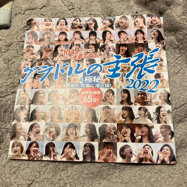 DVD グラドルの主張2022 週刊プレイボーイ付録