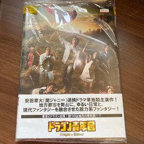 ドラゴン青年団 全4巻セット レンタル落ち 邦画 DVD