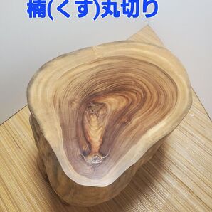 楠 丸切り