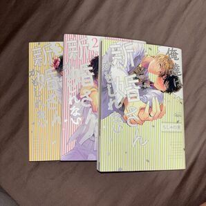 俺たちは新婚さんかもしれない3巻セット