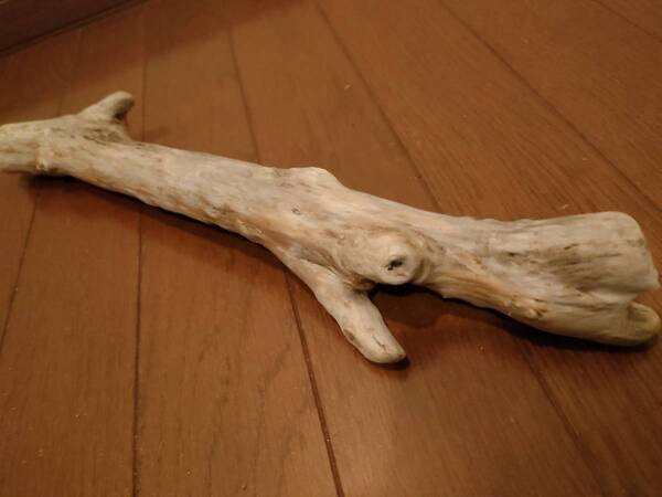 ☆天然流木 水槽 1点物 アクアリウム アート 38×7.5×4.5cm 大和川 爬虫類 トカゲ ヘビ めだか 隠れ家 5点以上のご落札で半額セール