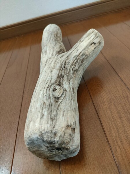 ☆天然流木 水槽 1点物 アクアリウム オブジェ アート 43×16×8cm 大和川 爬虫類 とかげ ヘビ インテリア 魚 めだか 隠れ家