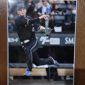 郡司裕也 A4 フォト 日本ハム ファイターズ