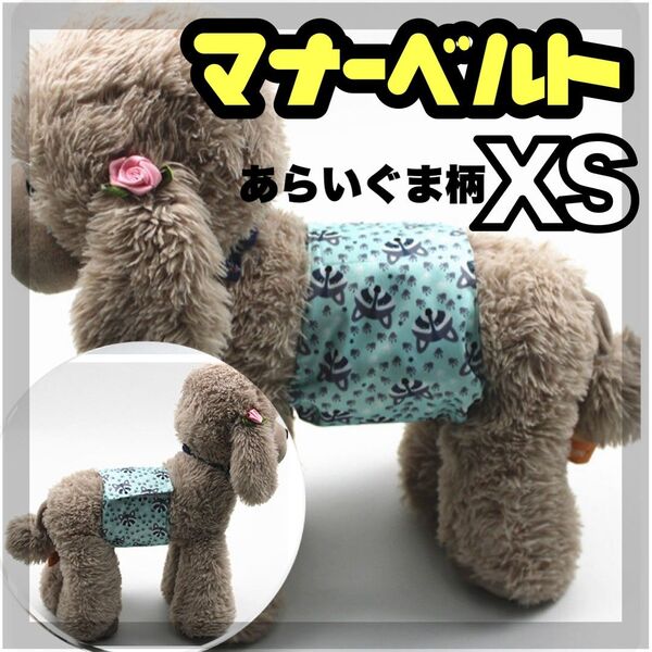 あらいぐま XS マナーバンド マナーベルト マナーウェア 犬の服 オス マナーパンツ わんこ服