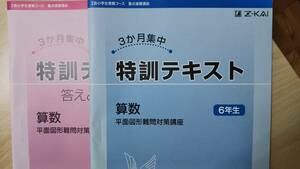 Ｚ会小学生受験コース 　特訓テキスト　算数　平面図形難問対策講座　解答冊子とも　合否を分ける重要問題選　記名あり