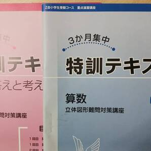 Z会小学生受験コース 特訓テキスト 算数 立体図形難問対策講座 解答冊子とも 合否を分ける重要問題選