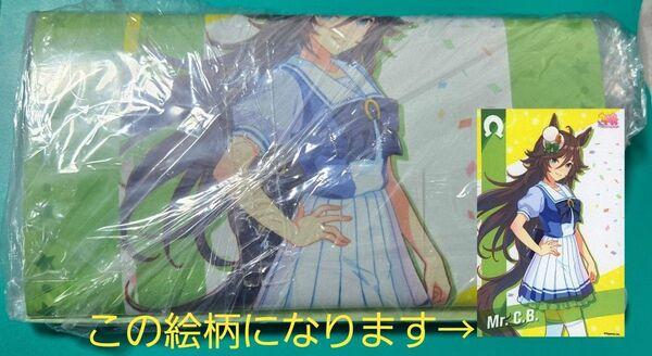 ウマ娘プリティーダービー ミニタペストリー Vol.6 ミスターシービー 制服