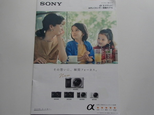 ^[ catalog ]SONY α E mount APS-C sensor installing model 2019 year 2 month α6400 α6500 α6300 α6000 α5100 digital single-lens camera 