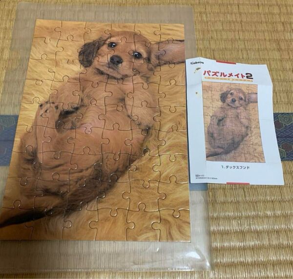 ミニチュアダックスフンド パズル 犬 飾る用 インテリア