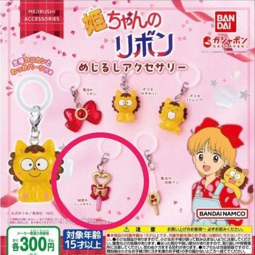 姫ちゃんのリボン めじるしアクセサリー 秘密のタクト
