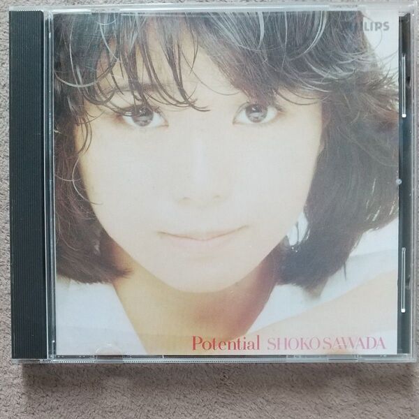沢田聖子/CD/POTENTIAL