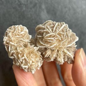 デザートローズ 砂漠の薔薇