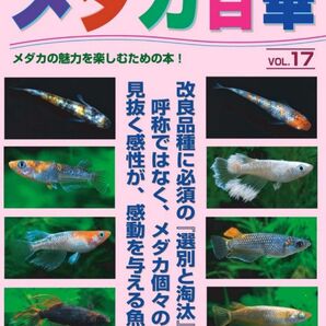 メダカ百華VOL 17 バックナンバー