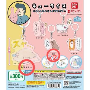 キューライス ふらっと めじるしアクセサリー 悲熊 ×2 ネコノヒー 3点セット