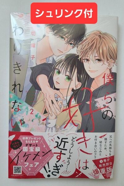 【シュリンク付新品未読】僕らの好きはわりきれない 2 (KCデザート) 野切耀子