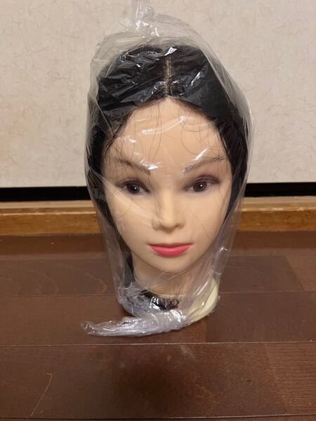 美容師の練習用カットウィッグです。自宅保管のため、神経質な方はご遠慮ください。カット練習にいかがでしょうか。 カットウィッグ