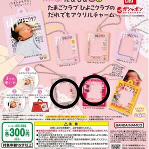 たまひよ ガチャガチャ