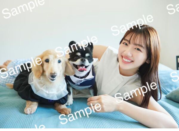 【未使用】 日向坂46 佐々木美玲 ファースト写真集 陽射しのパレード HMV限定ポスター