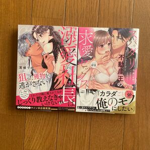 溺愛社長は狙った獲物を逃がさない 、スパダリ不動産王の求愛セックス 2冊