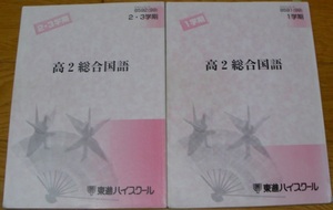 大学入試問題集2冊セット　高2総合国語　東進ハイスクール　入門から難関校を志望している方まで　東京大学など　