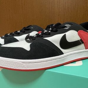 ナイキSB アリウープ