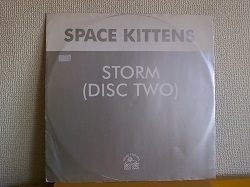 ハードハウス Space Kittens / Storm (Disc 2) 12インチです。