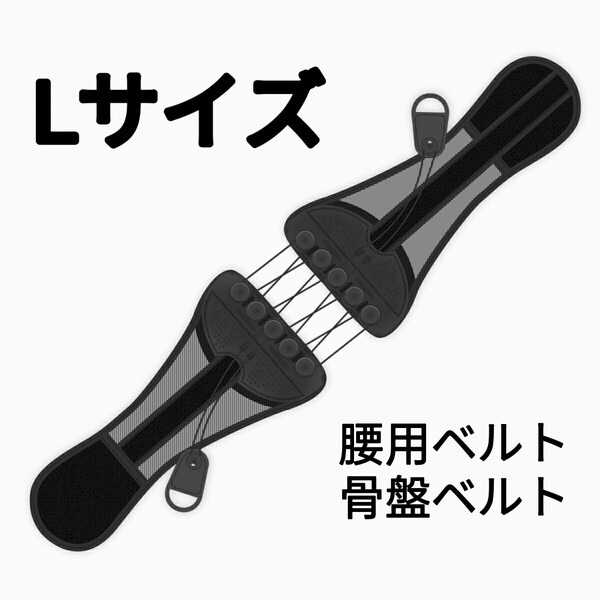 Lサイズ 腰痛ベルト 産後骨盤ベルト ダイエット効果 姿勢矯正トレーニングベルト 腰サポーター 人気 おすすめ プレゼント
