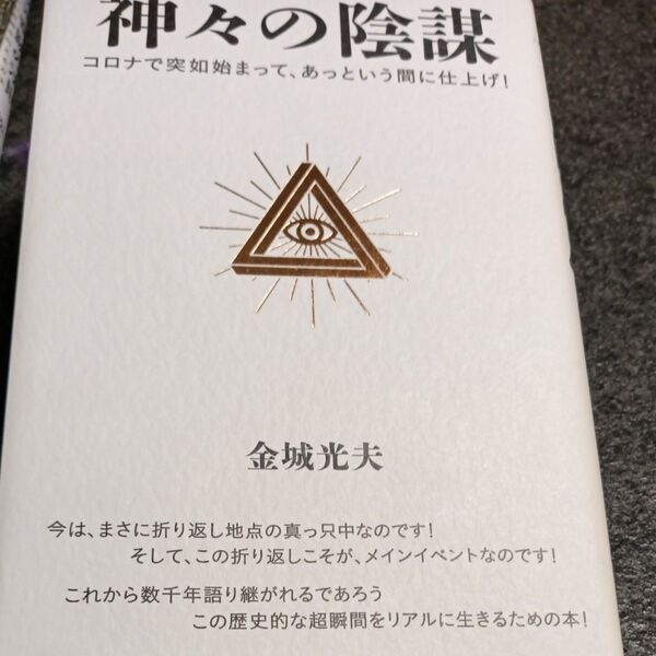 神々の陰謀 コロナで突如始まって、あっという間に仕上げ! 金城光夫/著