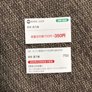 群馬県太田市 源泉 湯乃庵 岩盤浴半額