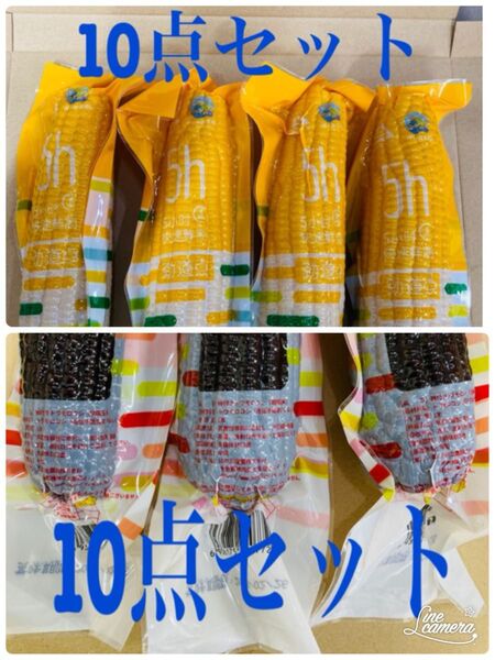 糯玉米棒 モチとうもろこし 軸付き糯玉米 20本セット