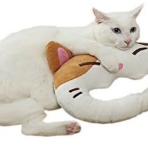 ボンビアルコン (Bonbi) 猫用おもちゃ ねこリンぐるみ ミケ猫 またたび・スズ入り