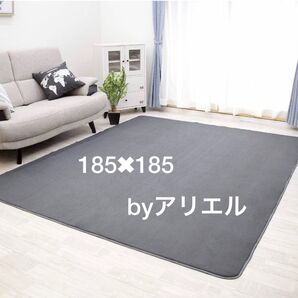 新品 2畳タイプ 防ダニ仕様 洗える フランネルラグ ダークグレー