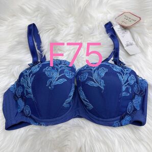 トリンプ レッドレーベル 0099 ブラジャー(パッドなし) F75 ブルー