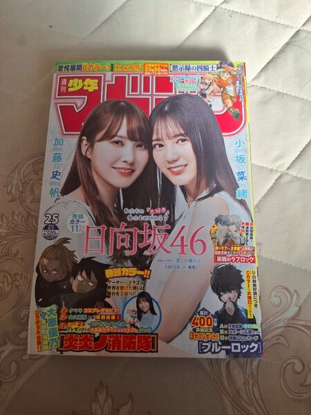 週刊少年マガジン 2021年25号