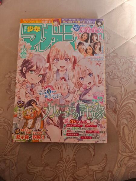 週刊少年マガジン 2021年15号
