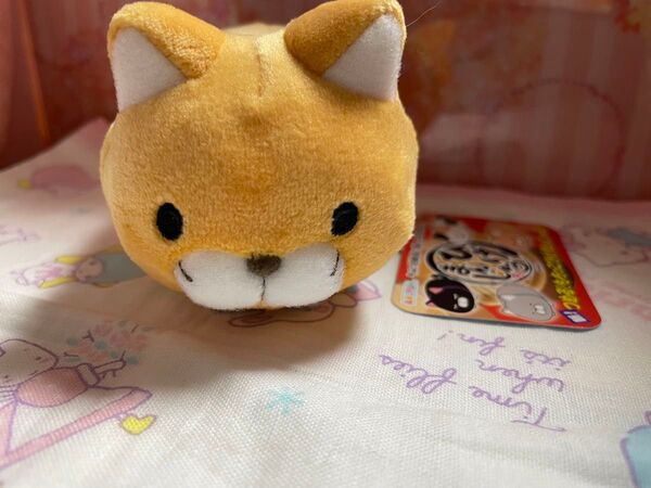 新! つめる! もちっこひげまんじゅう ふくにゃん ぬいぐるみマスコット