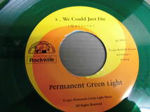 PERMANENT GREEN LIGHT/We Could just Die★シングル　グリーン・ビニール仕様_画像4