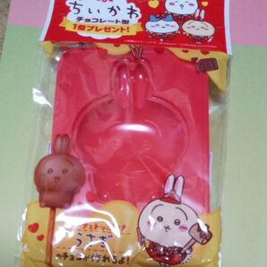 ハチワレ&うさぎ