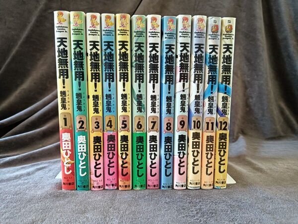 天地無用!魎皇鬼 全巻セット 1〜12巻 (角川コミックスドラゴンJr.) 奥田ひとし/著