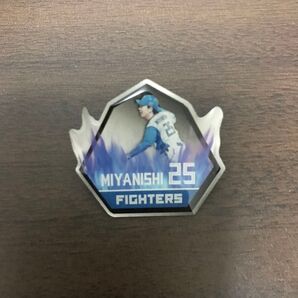 北海道日本ハムファイターズ ピンバッジ 宮西尚生