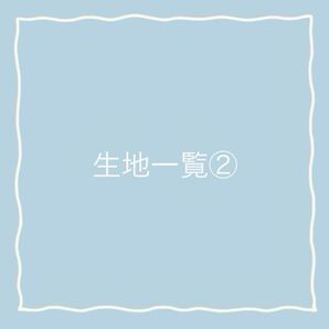 スタイ生地一覧②