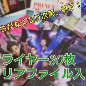 宝塚 チラシ フライヤー