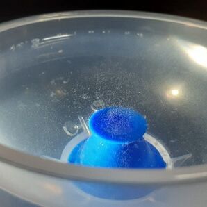 メダカの餌 朝の時短に ゾウリムシ分離器 ロートとセット