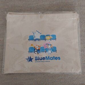 新品未開封☆横浜DeNAベイスターズ Bluemates 交換商品☆コットンサコッシュ