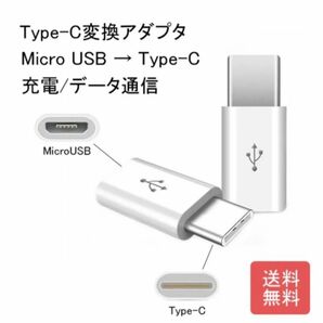 新品_TypeC 変換アダプタ用 Micro-B to Type-C(1a0)