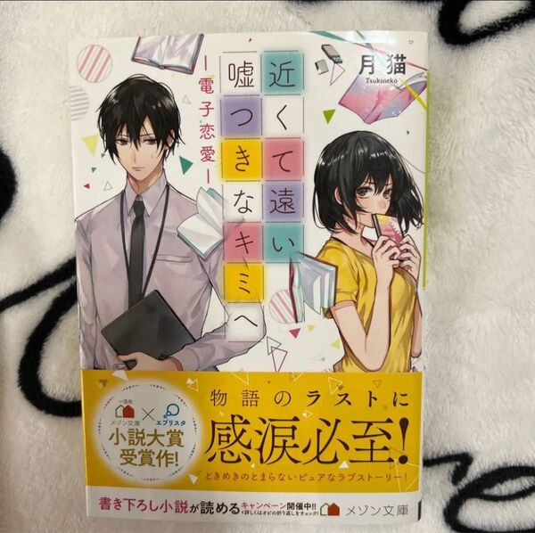 近くて遠い嘘つきなキミへ